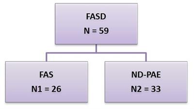 Nutritional status of a group of polish children with FASD: A retrospective study